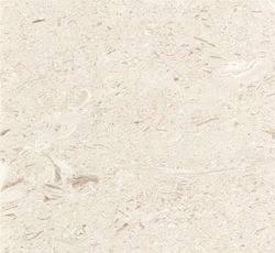 Turkish Limestone Ivory